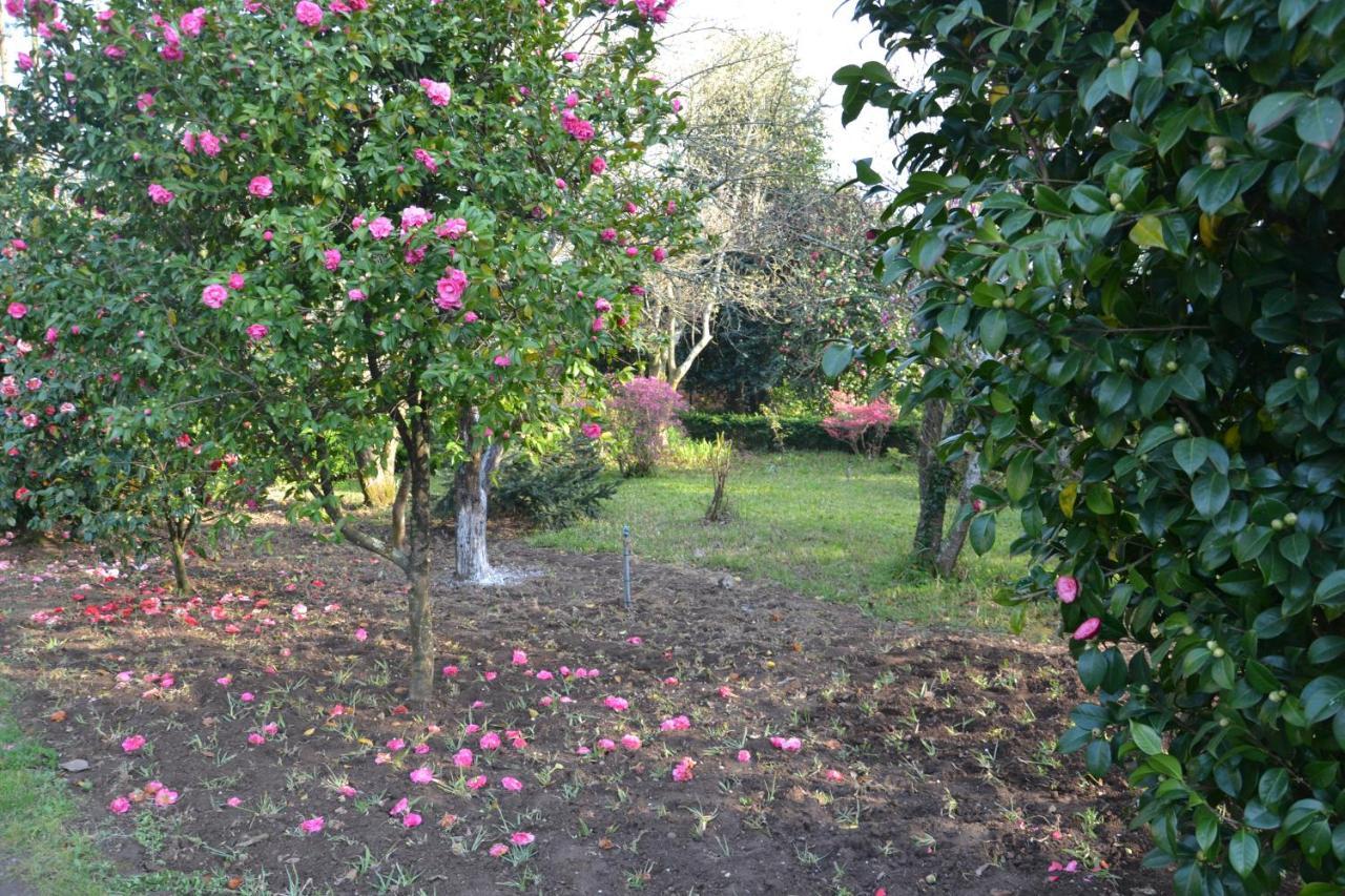 Bed and Breakfast Quinta D'Avó Amélia à Alquerubim Extérieur photo