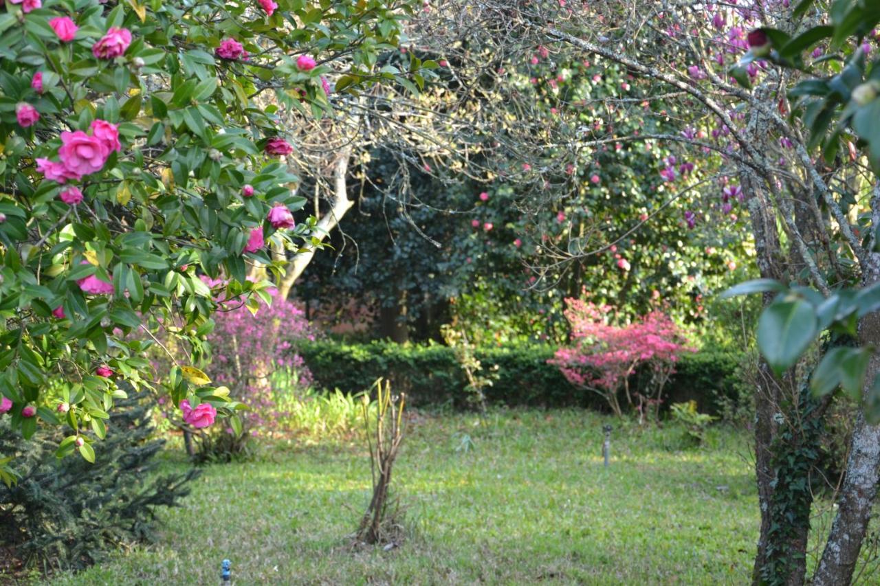 Bed and Breakfast Quinta D'Avó Amélia à Alquerubim Extérieur photo